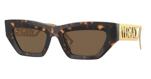 Versace | MOD 4432-U 108/73