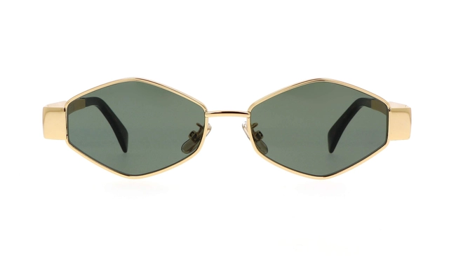 Celine | CL40254U 30N